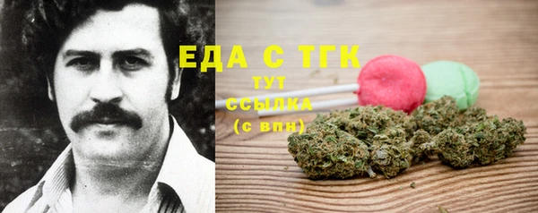 тгк Абаза