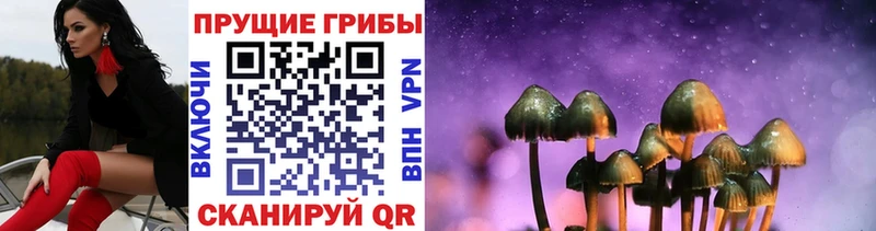 Галлюциногенные грибы прущие грибы как найти ОМГ ОМГ рабочий сайт Камень-на-Оби